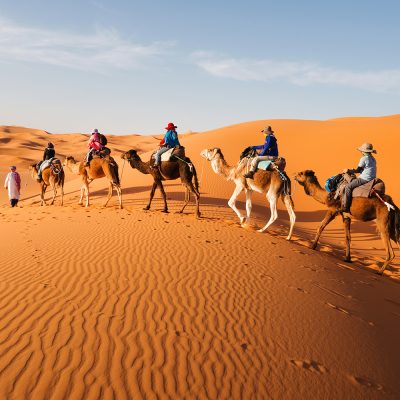 (c) Yongyut Kumsri/Shutterstock.com